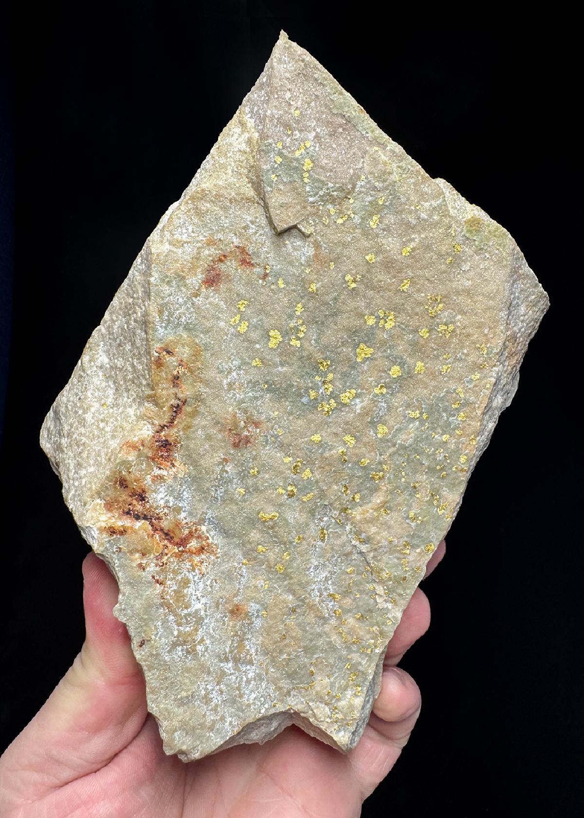 CC50398 specimen image