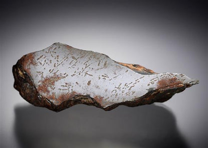 CC5045 specimen image
