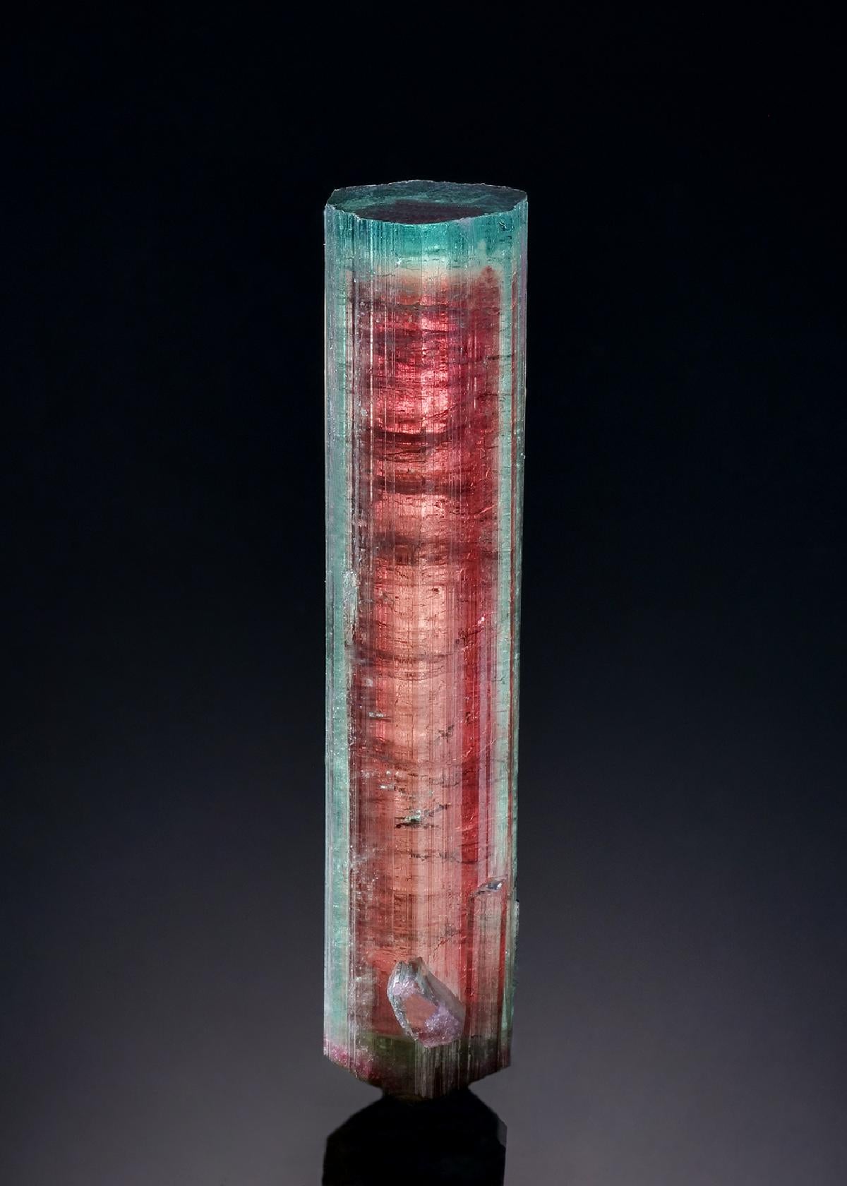 CC50548 specimen image