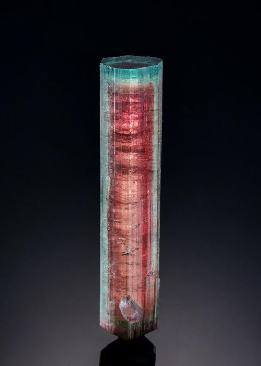 CC50548 specimen image