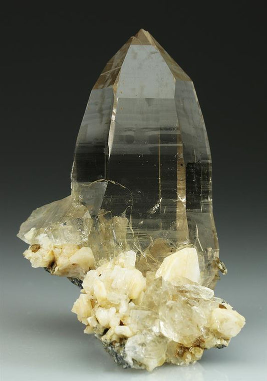 CC5055 specimen image
