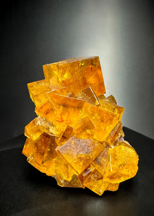 CC50602 specimen image