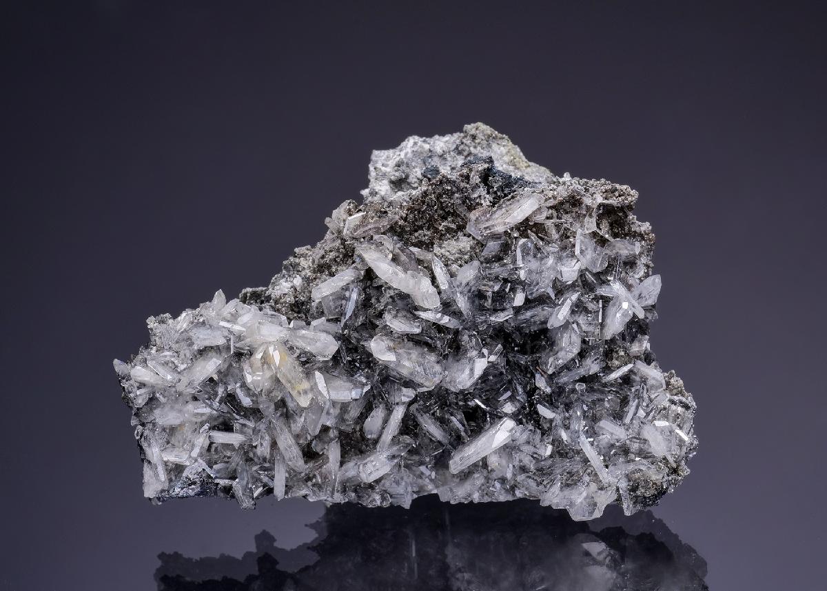 CC50608 specimen image