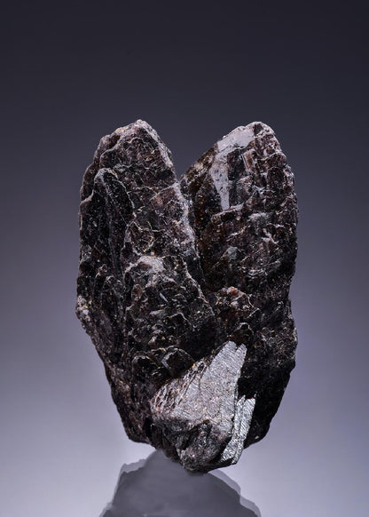 CC50610 specimen image