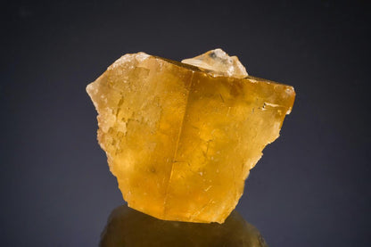 CC50812 specimen image