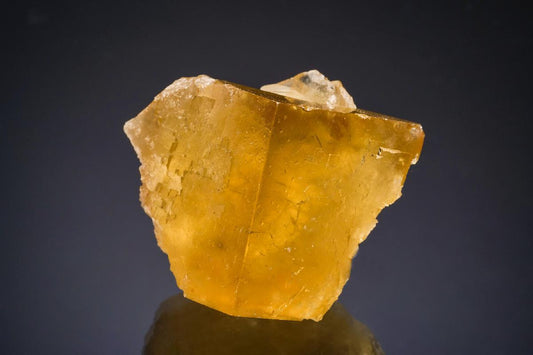 CC50812 specimen image