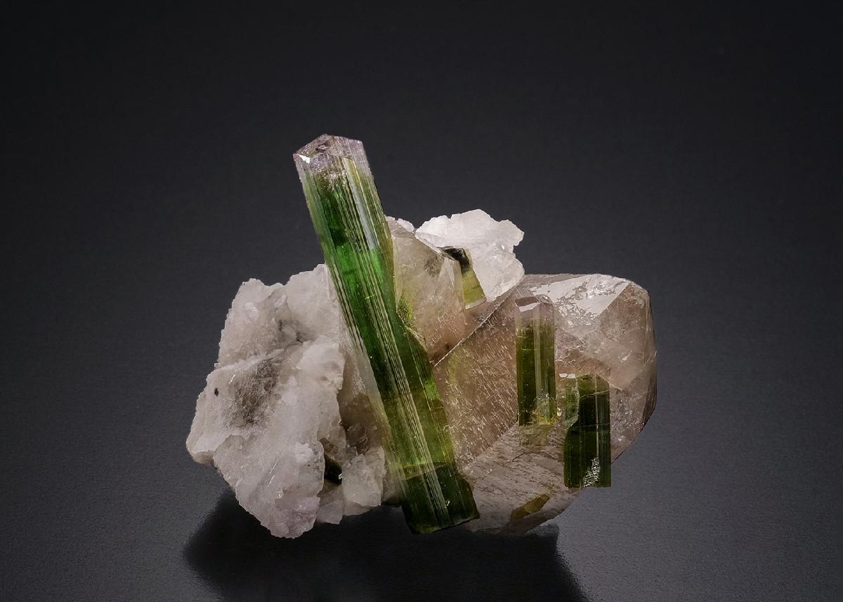 CC50834 specimen image
