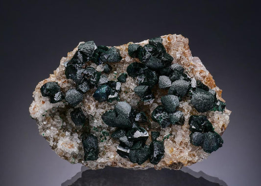 CC50878 specimen image
