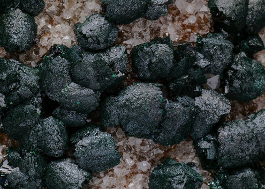 CC50882 specimen image