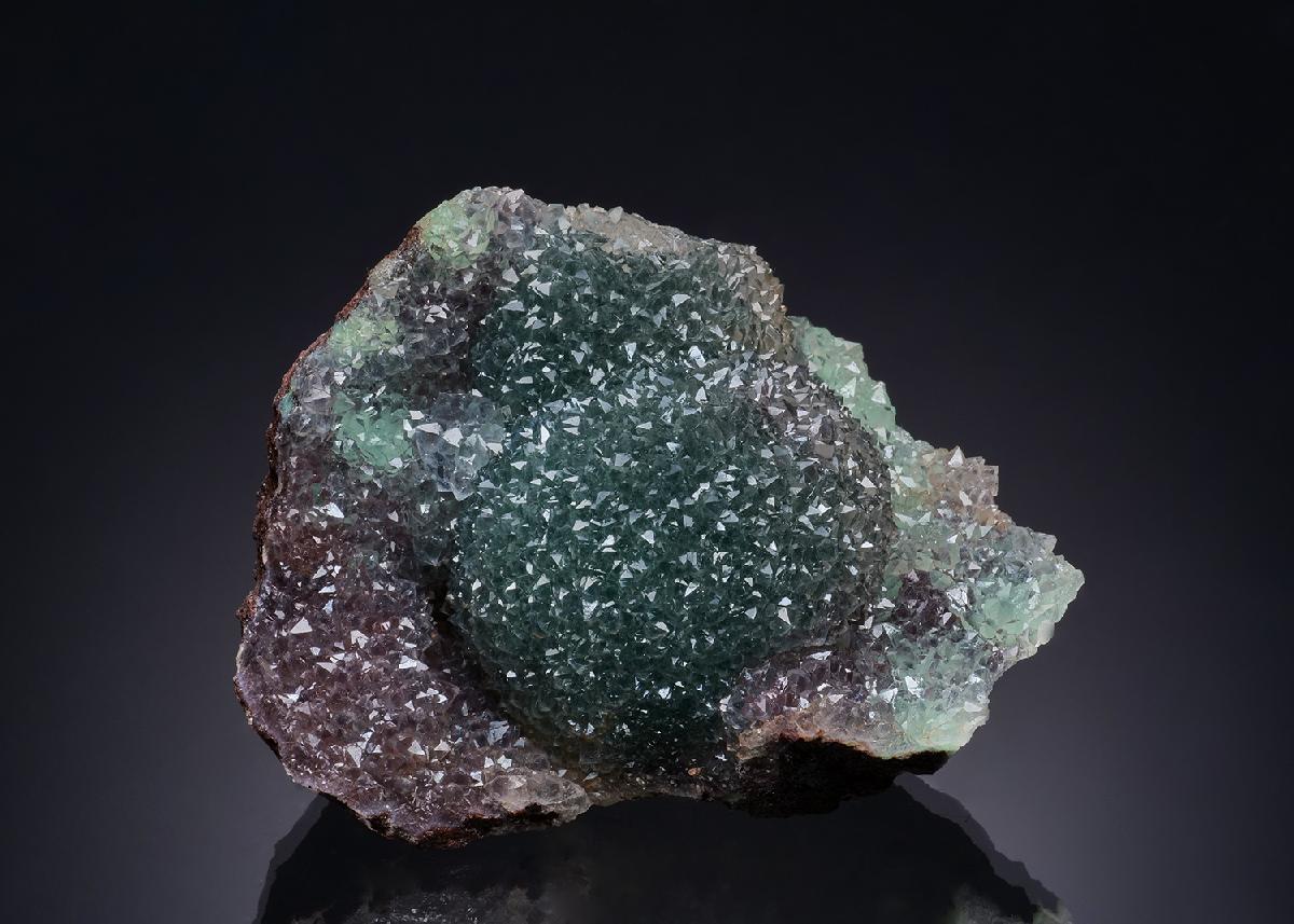 CC50884 specimen image
