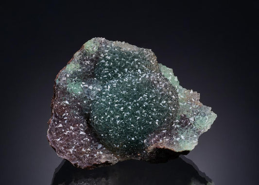 CC50884 specimen image
