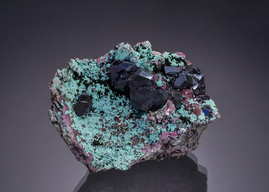 CC50892 specimen image