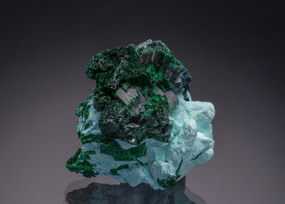 CC50894 specimen image