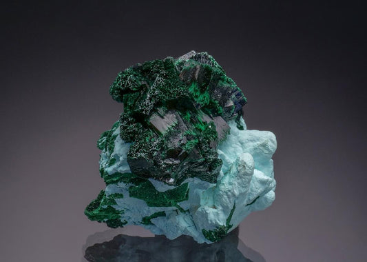 CC50894 specimen image