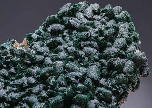 CC50936 specimen image