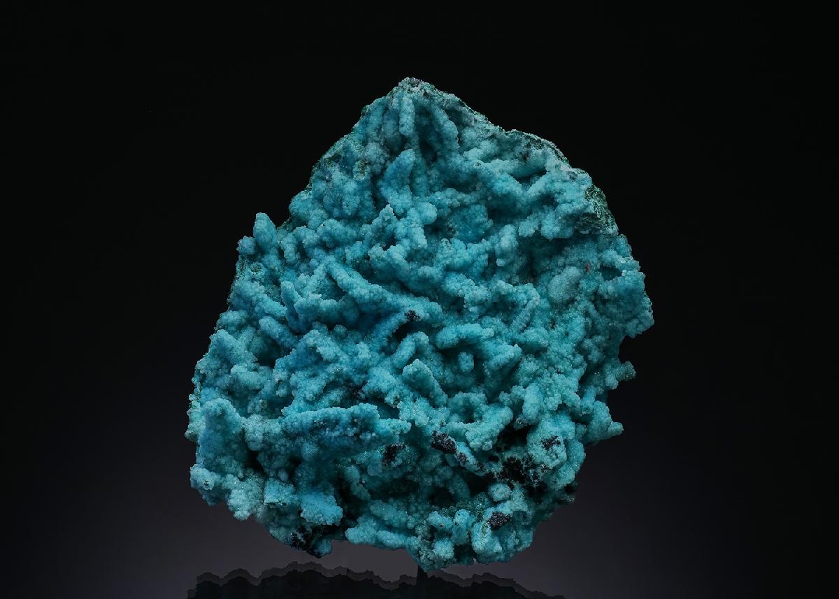 CC50940 specimen image