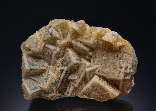 CC50986 specimen image
