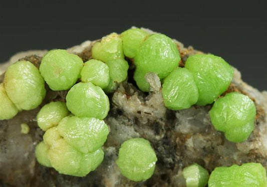 CC5099 specimen image