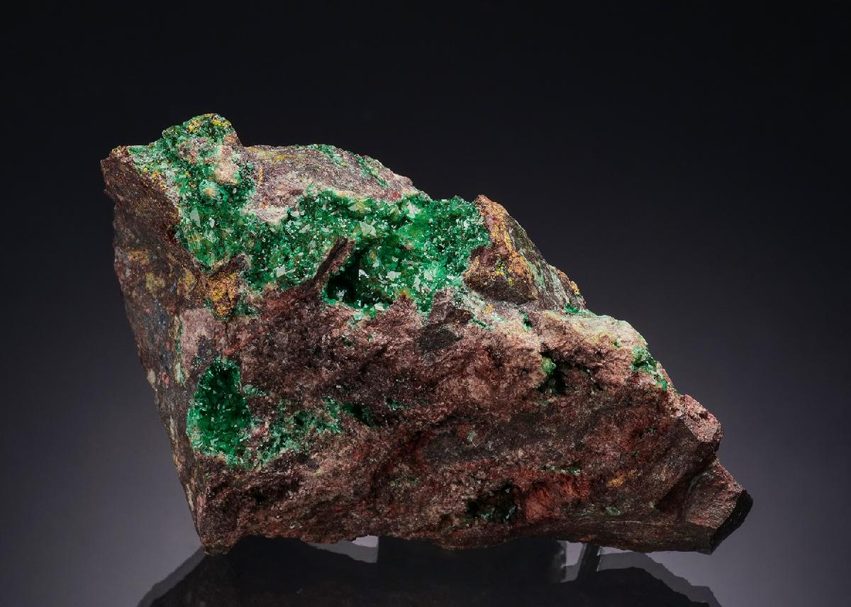 CC50998 specimen image