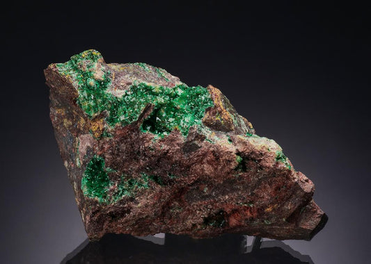 CC50998 specimen image