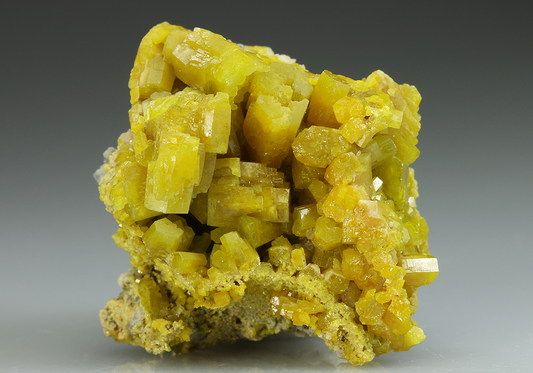 CC5103 specimen image
