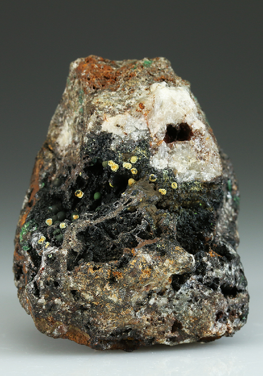 CC5109 specimen image
