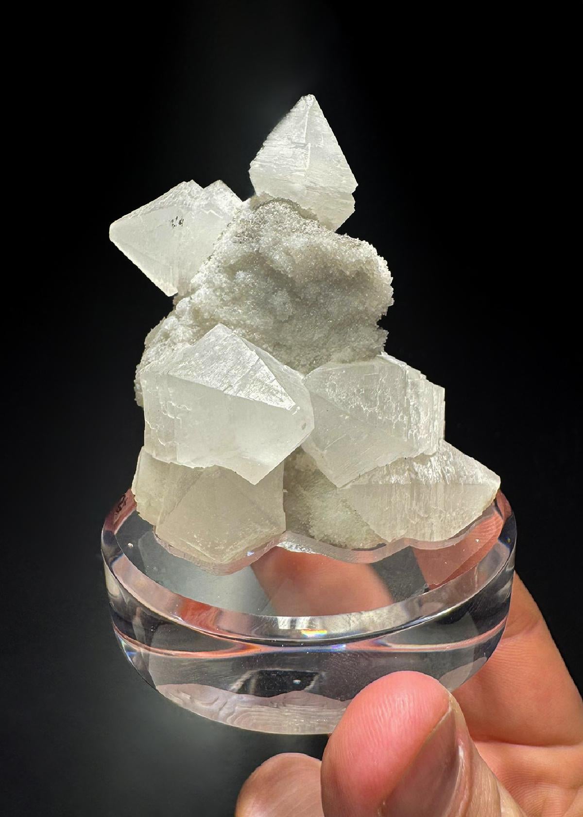 CC51092 specimen image