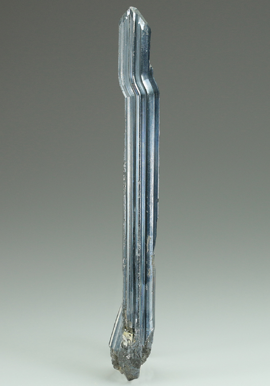 CC5121 specimen image