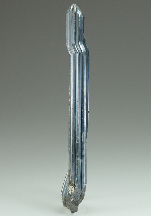 CC5121 specimen image