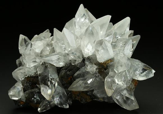 CC5127 specimen image