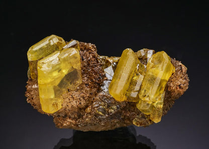 CC51395 specimen image