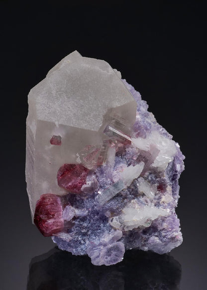 CC51530 specimen image