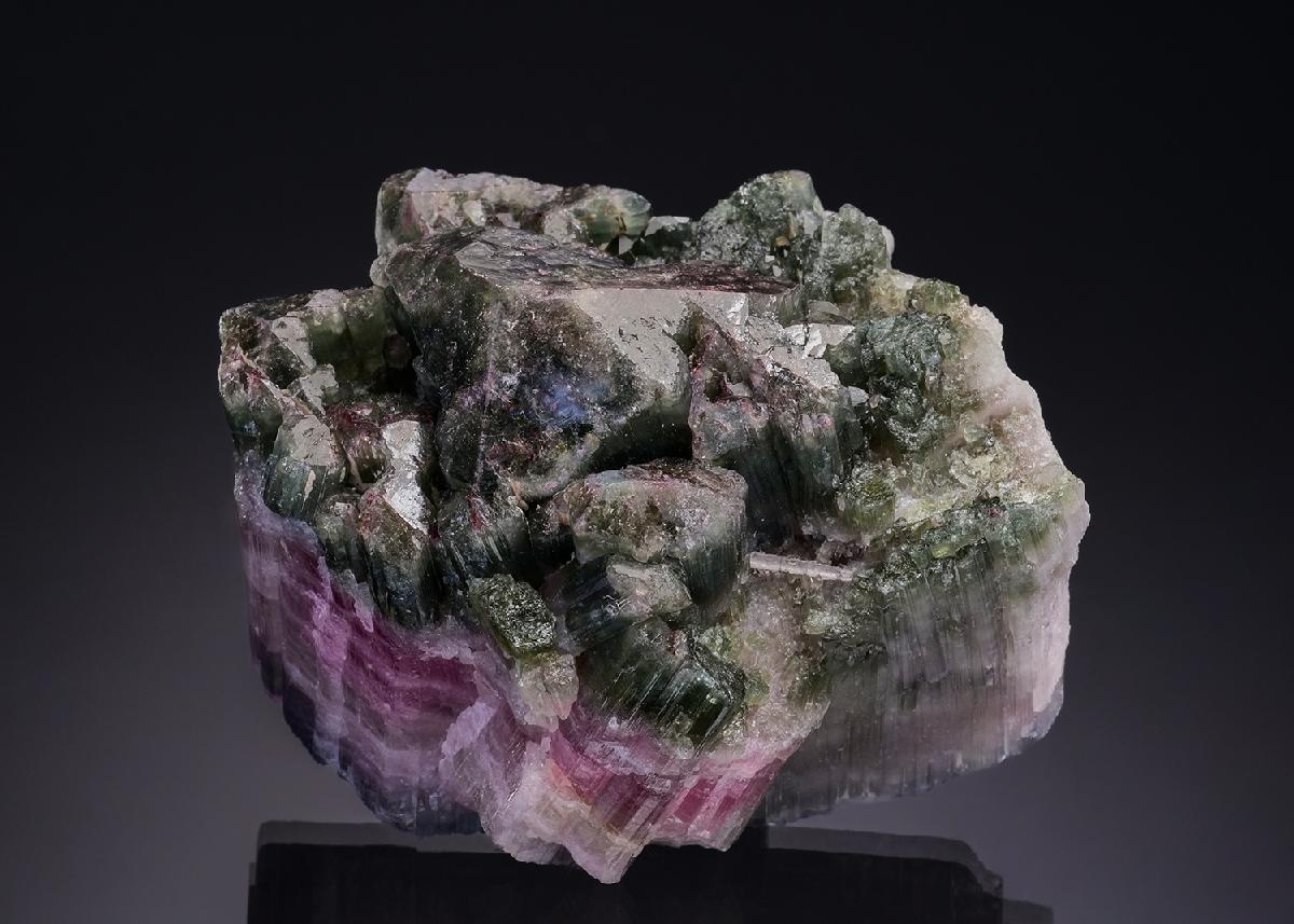 CC51532 specimen image