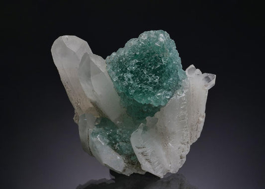 CC51534 specimen image