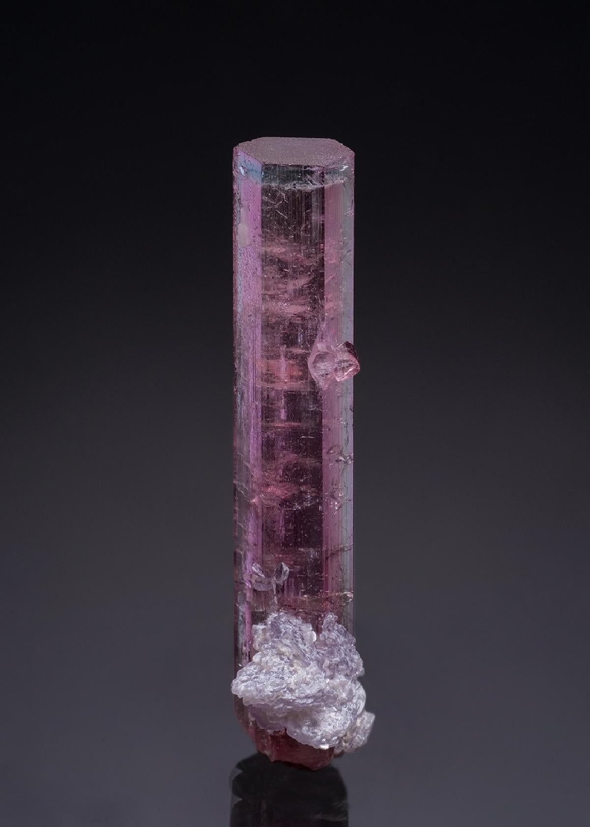 CC51544 specimen image