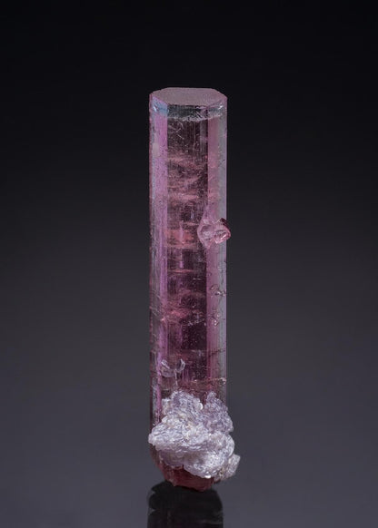 CC51544 specimen image