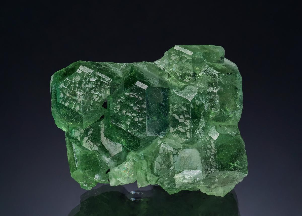CC51576 specimen image