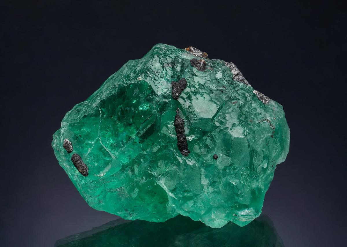 CC51584 specimen image