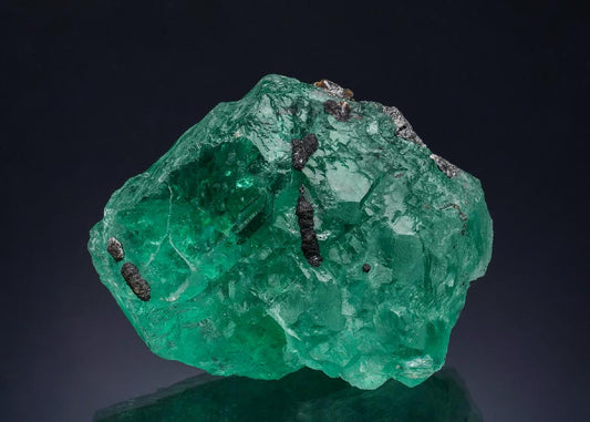 CC51584 specimen image