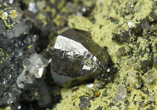 CC5159 specimen image