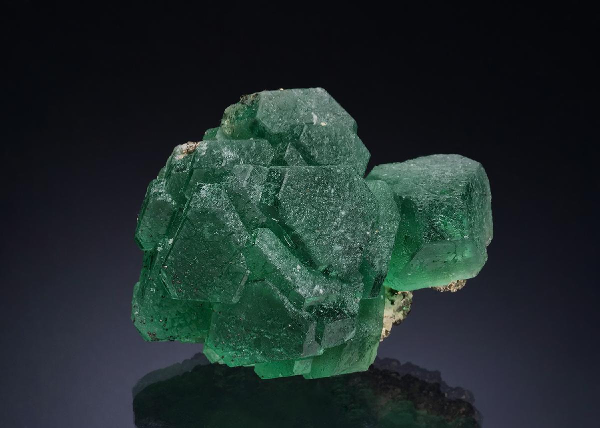 CC51592 specimen image
