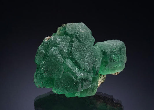 CC51592 specimen image