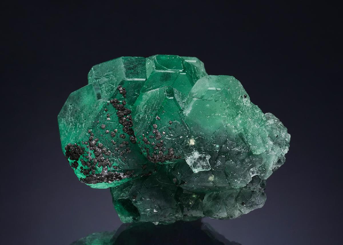 CC51600 specimen image
