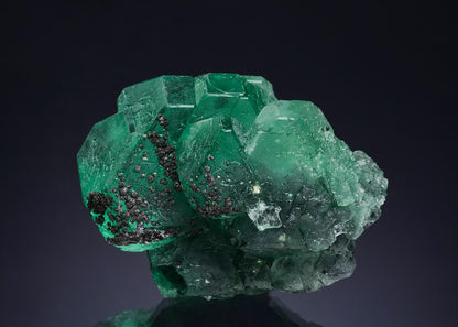 CC51600 specimen image