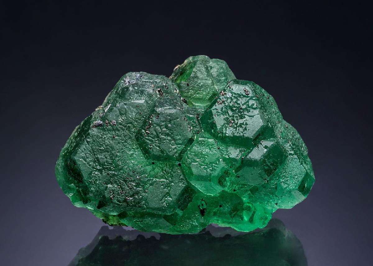 CC51620 specimen image