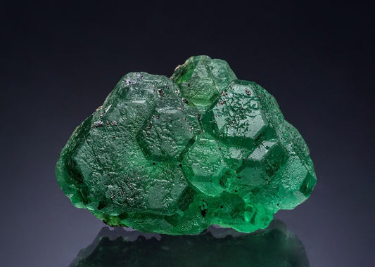 CC51620 specimen image