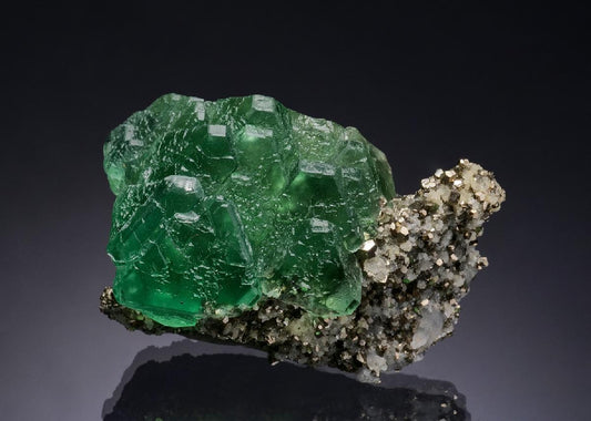 CC51632 specimen image