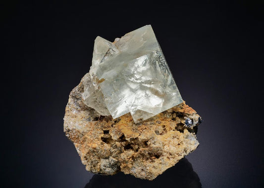 CC51642 specimen image
