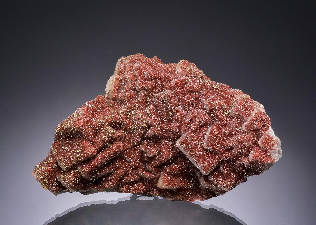 CC51684 specimen image