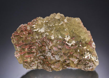 CC51690 specimen image